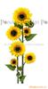 ��Ӧ�ֶ�����-������-רҵ��ˮ��ǯ