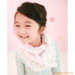 ��Ӧ�����A6��·�ƾ�