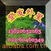 ��Ӧ������������
