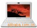 ��Ӧ��Ƥ��һ�塱��Ƥ�ֹ�Ů������������������