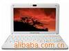 ��Ӧ��Ƥ��һ�塱��Ƥ�ֹ�Ů������������������