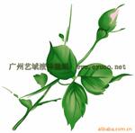 ��Ӧ�����裬�ȷ��̣�