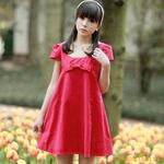 ��Ӧ������