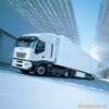 ��Ӧ�й���ľ�������辰����ƺ���֣���ľ