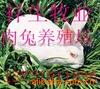 ��Ӧ����PDH΢���豸