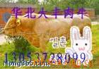 ��Ӧ·��ש �㳡ש ͥԺש ����ש ����ש ��ɰש