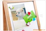 ��Ӧ�����ֲᣬ���±�����ǩ���ӵ�Ƥ����ƤƷ