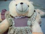 ��Ӧ��ƿ����ƿ