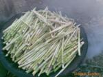 GUIHAI�麣��T8��դ�ƣ�ŷʽ��դ��(ͼ)