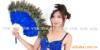 ��Ӧ������͸������������������������