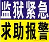 ��Ӧ�轺����