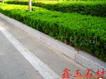 ��Ӧ��ë,��ë����.��ë��Ʒ.��ëװ��Ʒ.��ë(ͼ)