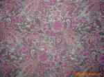 2.4G����������������ST2400G-XX