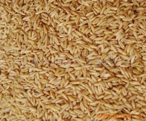 圆粒糙米  长粒糙米    粥米