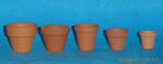 ��Ӧ�������衾�մɹ���Ʒ��
