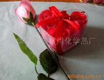 ��Ӧֽ����(ͼ)����ֱ��