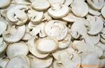 ��ӦFD����Ģ��Ƭ FD Mushroom