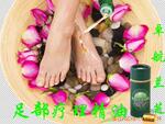 足部疗理精油 100ML卓航兰芝品牌精油 批发供应