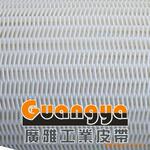 螺旋网带|聚酯螺旋网带|聚氨脂螺旋网带