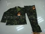 ��Ӧ�Բʷ� BDU��װ ACU����