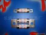 供应低压快速熔断器RGS4