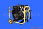 ��Ӧ10KW/120/240V�������ͷ������