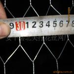 厂家销售 优质的出口质量镀锌六角网六角铁丝网