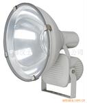 ��Ӧ���ZY-2045��250W~400W)