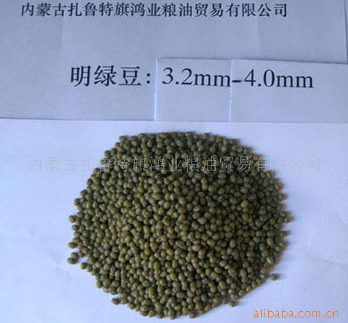 供应3.2mm上规格的优质绿豆