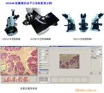 供应MS300显微镜自动平台系统