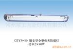 供应CBYS-80防爆灯(图)