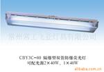 供应CBYG-80-A防爆荧光灯(图)