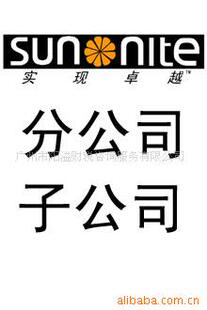 公司注册-提供分公司与子公司注册服务-分公司