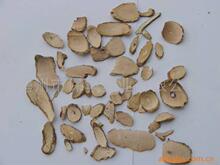 找相似款-供应猫人参-相似图片