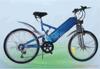 �ͺ�TDH2400ZB 10���ٵ綯���г� 