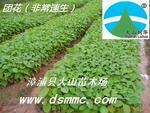 ��Ӧ�Ż����������ǳ��졡��������öࣩ