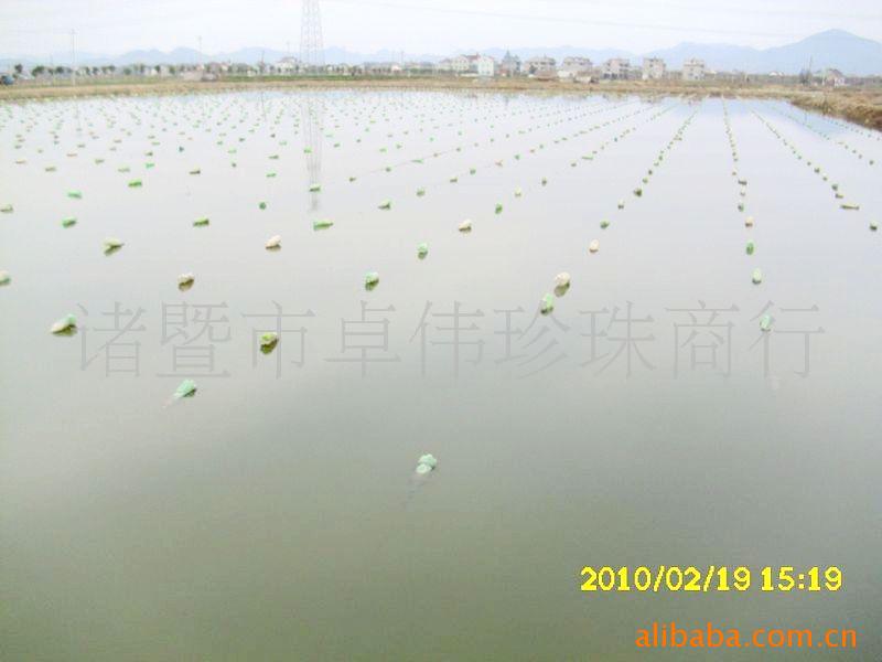 北京快乐8投注