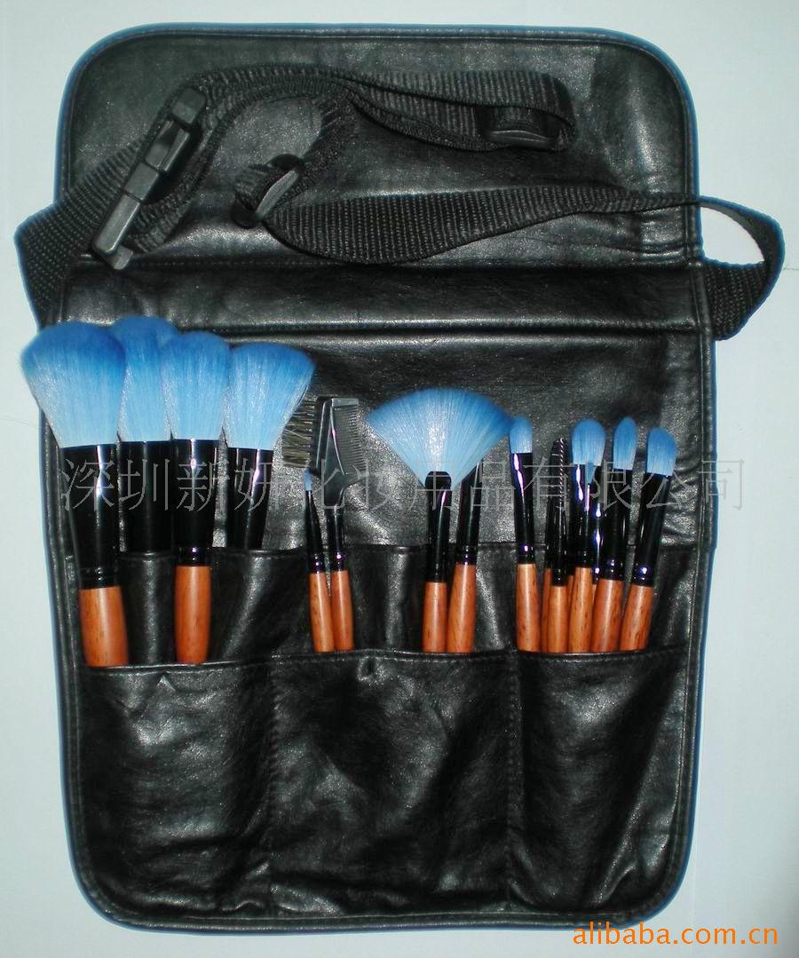 professional brushes(2)