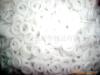 �����ϵ�Ƭ ��Ե��Ƭ PE PVC PA POM