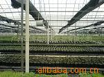 ��Ӧũҵ������ˮˮ�ʲ��Գ���ά������TXDF-800T