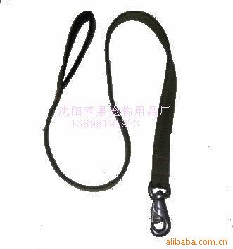 CIMG2315
