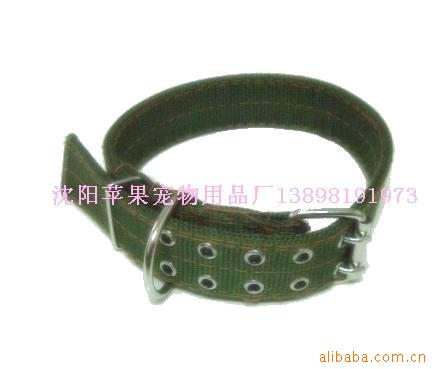 CIMG2553_副本