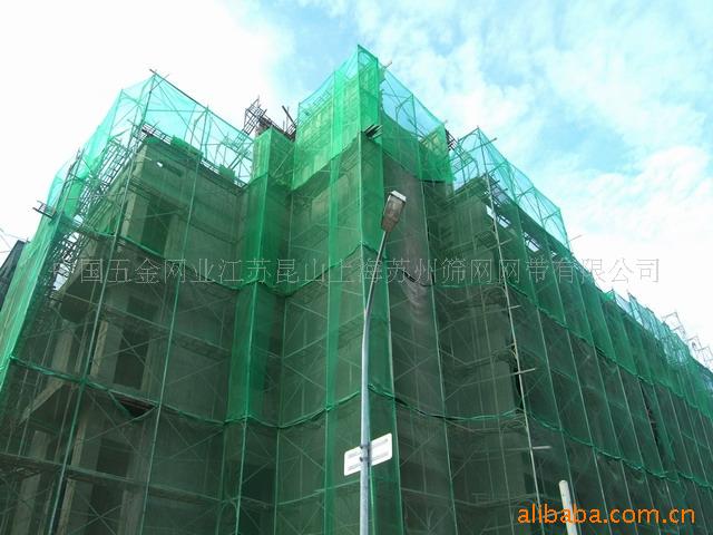 【密目安全网,密目式安全网,阻燃密目网,防护网