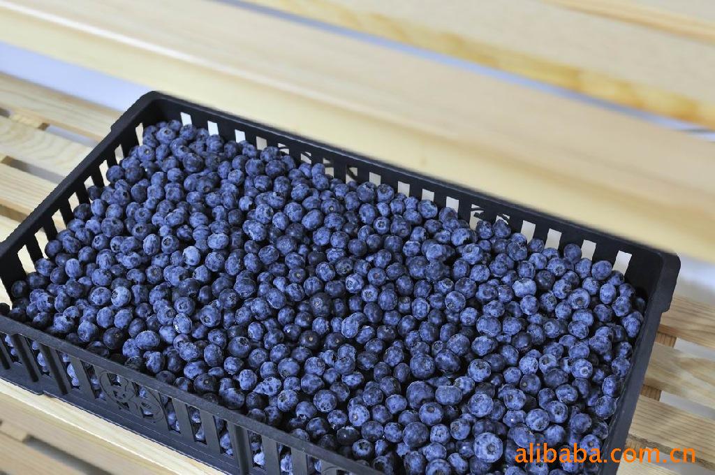 产地带货--有机蓝莓鲜果-棋塔生鲜水果价格及