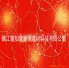 西格姆