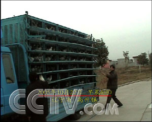 һ���� 3���׬50�� �� ũҵ�¸��� CCTV7�¸��� ũҵ 