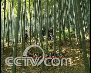 �����ӵ��»��� ÿ����׬������ ũҵ�¸��� CCTV7�¸��� ���� ũҵ 