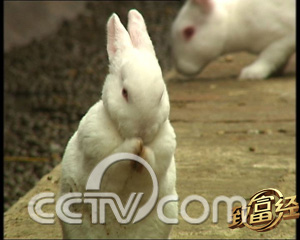 �Ҽһ��������� ��Ǯ��Һ���׬ �� ũҵ�¸��� CCTV7�¸��� ũҵ 