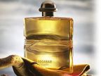 �����ݳ޵�Hermes��ʿ��ˮ
