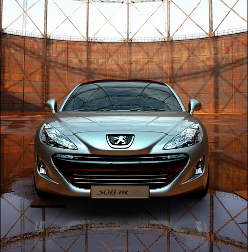 09������ ����ȫ���ܳ�308RC Z ������ı ����308 ���� �³� 
